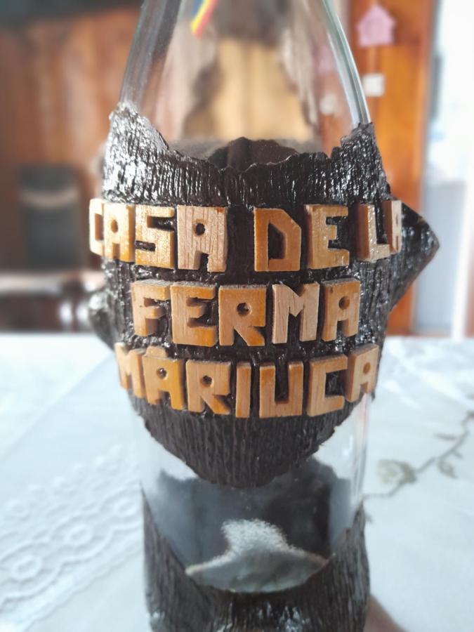 Casa De La Ferma Mariuca Villa Bárdfalva Kültér fotó
