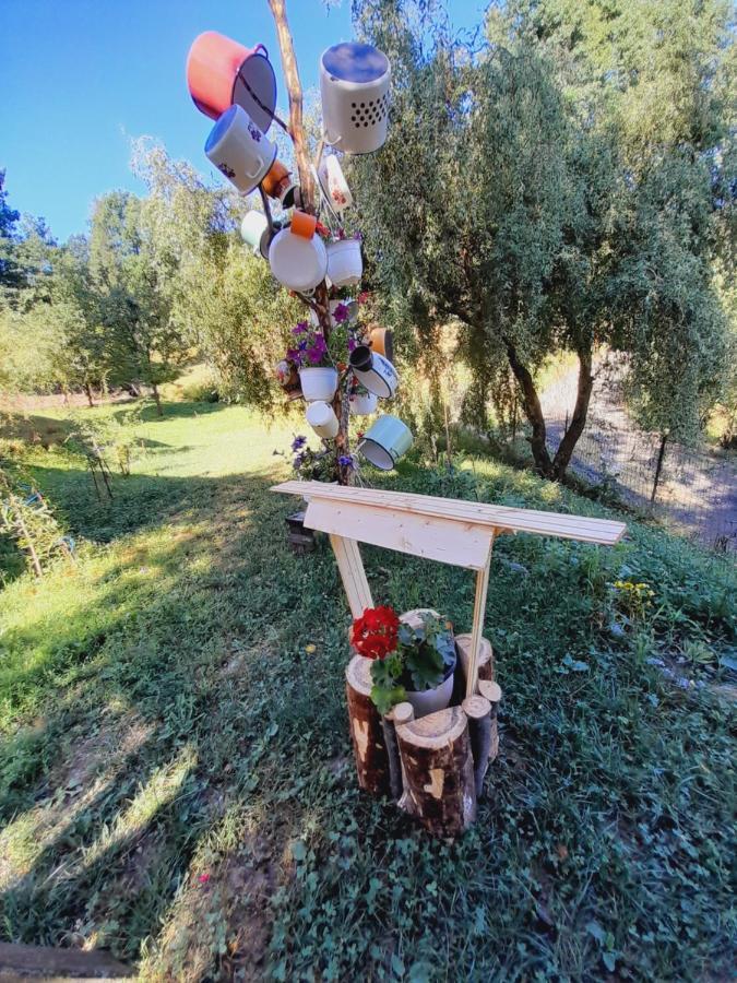 Casa De La Ferma Mariuca Villa Bárdfalva Kültér fotó
