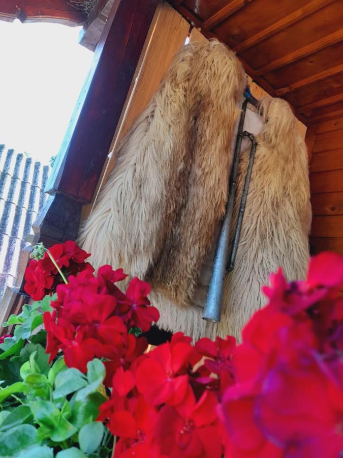 Casa De La Ferma Mariuca Villa Bárdfalva Kültér fotó