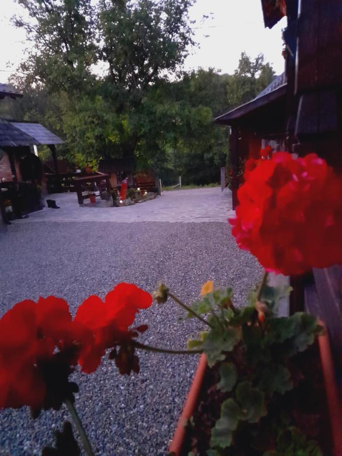 Casa De La Ferma Mariuca Villa Bárdfalva Kültér fotó