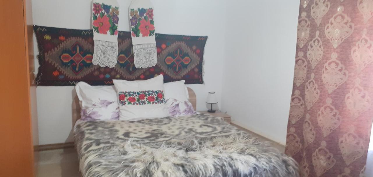 Casa De La Ferma Mariuca Villa Bárdfalva Kültér fotó