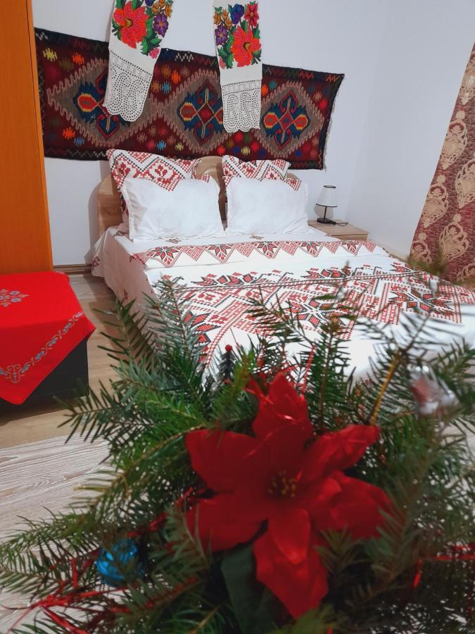 Casa De La Ferma Mariuca Villa Bárdfalva Kültér fotó